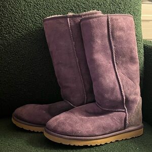 Purple Classic Tall Uggs